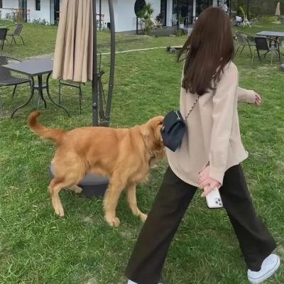 桂花巷
